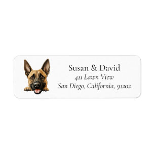 Belgisch Malinois Hunde Rasse Heimtiere Liebhaber