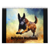 Belgisch Malinois Kalender (Titelbild)