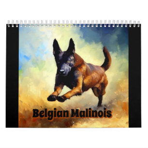 Belgisch Malinois Kalender