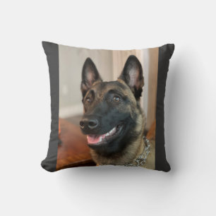 Belgisch Malinois Kissen