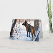 Belgisch Malinois Let It Snow Weihnachten Karte (Vorderseite)