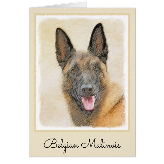 Belgisch Malinois Malerei - Niedliche Original Hun (Vorne)