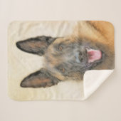 Belgisch Malinois Malerei - Niedliche Original Hun Sherpadecke (Vorderseite (Horizontal))