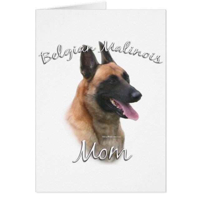 Belgisch Malinois Mama 2 (Vorne)