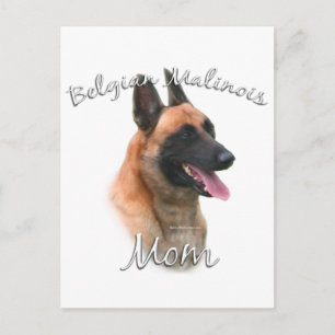 Belgisch Malinois Mama 2 Postkarte