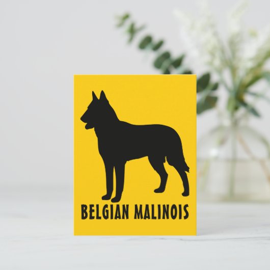 Belgisch Malinois Postkarte (Stehend Vorderseite)