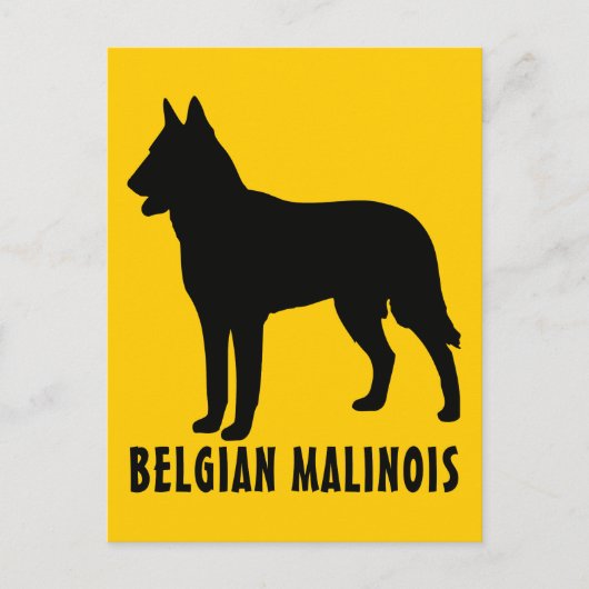 Belgisch Malinois Postkarte (Vorderseite)