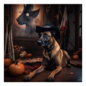 Belgisch Malinois Pumpkins Halloween Beängstigend Poster (Vorderseite)
