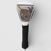 Belgisch_Malinois_Puppy vollständig Golf Headcover (Vorderseite)