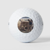 Belgisch_Malinois_Puppy vollständig Golfball (Vorderseite)