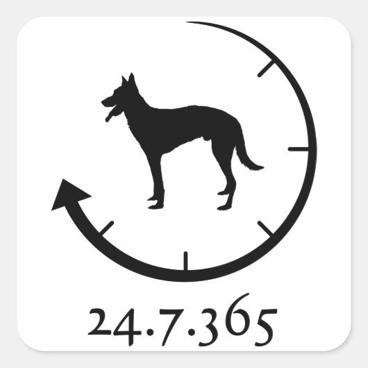 Belgisch Malinois Quadratischer Aufkleber (Vorderseite)