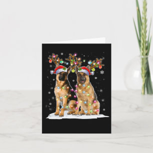 Belgisch Malinois Reindeer Hat Santa Christmas Lig Karte