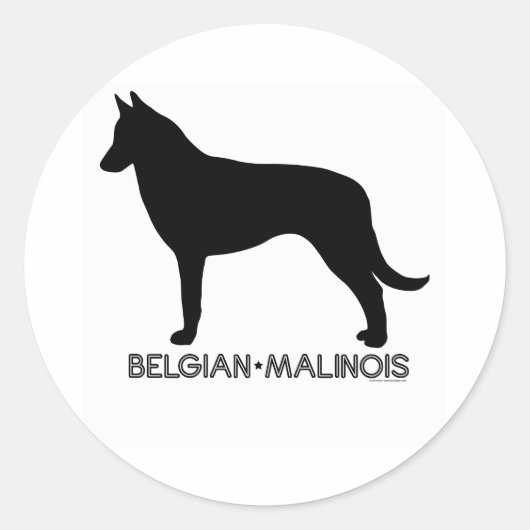 Belgisch Malinois Sticker (Vorderseite)
