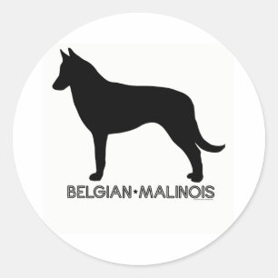 Belgisch Malinois Sticker