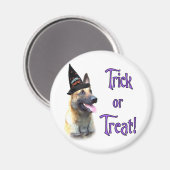 Belgisch Malinois Trick Magnet (Vorderseite/Rückseite)