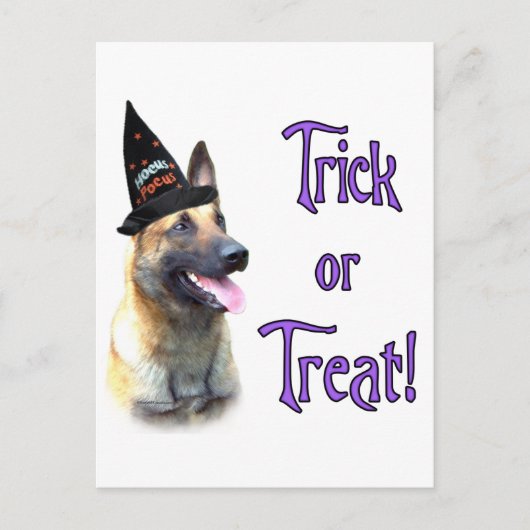Belgisch Malinois Trick Postkarte (Vorderseite)