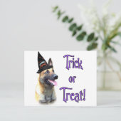 Belgisch Malinois Trick Postkarte (Stehend Vorderseite)