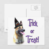 Belgisch Malinois Trick Postkarte (Vorne/Hinten)
