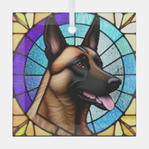 Belgisch Malinois ‚verklebtes Glas‘