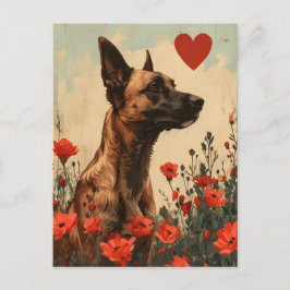 Belgisch Malinois Vintag Valentinstag Postkarte
