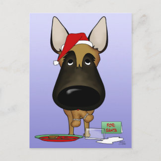 Belgisch Malinois Weihnachten - Ho Ho??