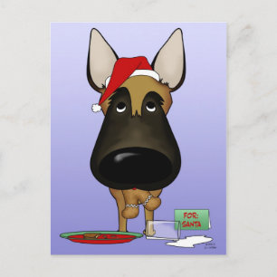 Belgisch Malinois Weihnachten - Ho Ho Ho??