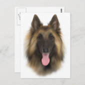Belgisch Sheperd Tervueren Postkarte (Vorne/Hinten)