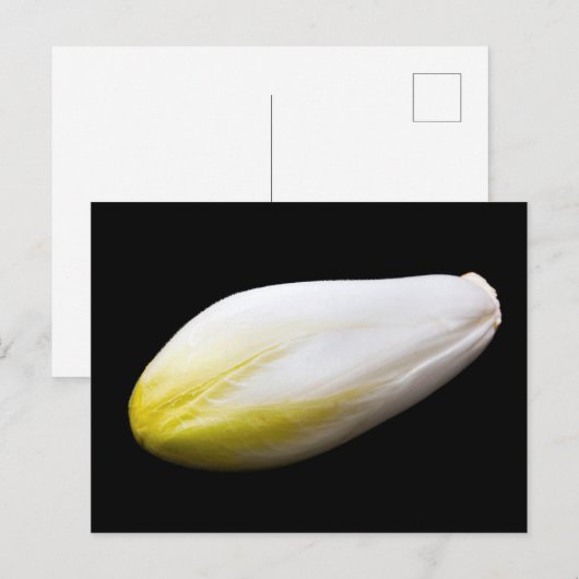 belgische Endive Postkarte (Vorne/Hinten)