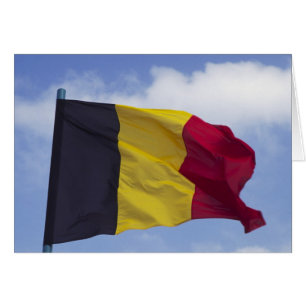 belgische Flagge (RF)