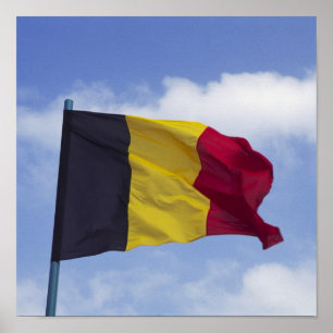 Belgische Flagge RF) Poster