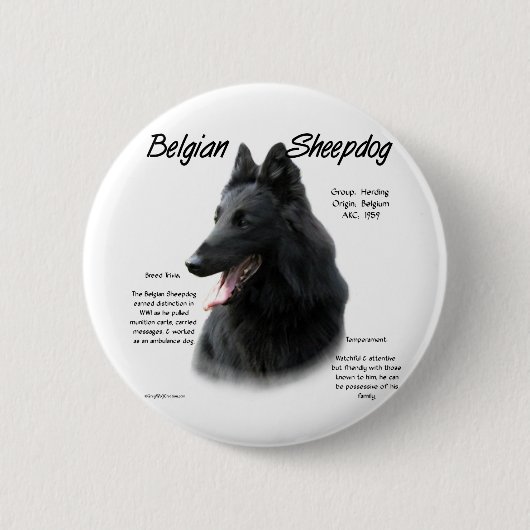 Belgische Geschichte der Schafhunde Button (Vorderseite)