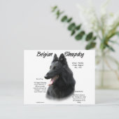 Belgische Geschichte der Schafhunde Postkarte (Stehend Vorderseite)