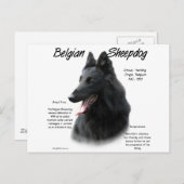 Belgische Geschichte der Schafhunde Postkarte (Vorne/Hinten)
