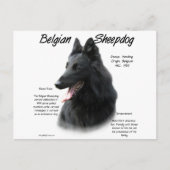 Belgische Geschichte der Schafhunde Postkarte (Vorderseite)