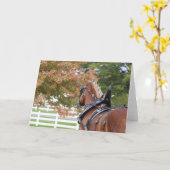 Belgische Grußkarte Karte (Gelbe Blume)