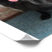 Belgische Hirte alias "The Black Wolf" Poster (Ecke)