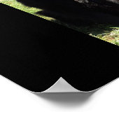 Belgische Hirte alias "The Black Wolf" Poster (Ecke)