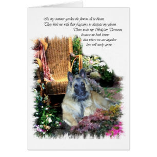 Belgische Kunstgeschenke Tervuren