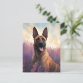 Belgische Malinois auf dem Lavendelmarkt Postkarte (Stehend Vorderseite)