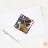 Belgische Malinois-Flagge; Malinois 4. Juli, USA Runder Aufkleber (Umschlag)