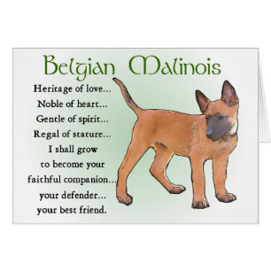 Belgische Malinois-Geschenke