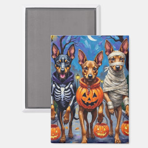 Belgische Malinois-Hunde beim Trick-or-Treat an Ha Magnet