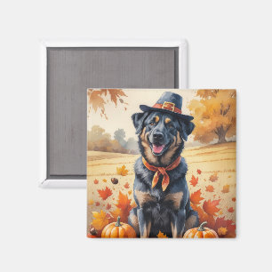 Belgische Malinois im Herbst hinterlässt Erntedank Magnet