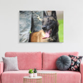 Belgische Malinois lächeln Leinwanddruck (Insitu (Wohnzimmer))