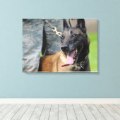 Belgische Malinois lächeln Leinwanddruck (Insitu (Holzboden))