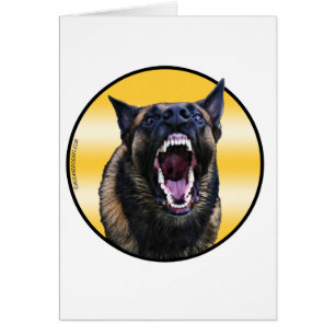Belgische Malinois "Maligator"