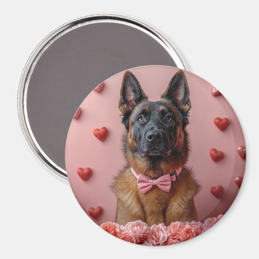 Belgische Malinois mit Rose - Valentinstag Magnet (Vorderseite/Rückseite)