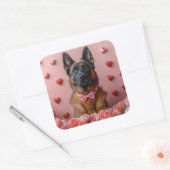 Belgische Malinois mit Rose - Valentinstag Quadratischer Aufkleber (Umschlag)