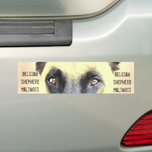 Belgische malinois Schäfer des Autoaufklebers Autoaufkleber (Auf Auto)