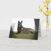 Belgische Malinois Sympathy Card Karte (Gelbe Blume)